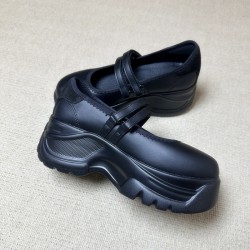 French thick heel shallow mouth thick sole Mary Jane shoes for women 2025 spring new style school style elegant shoes for skirts loafers