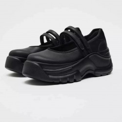 French thick heel shallow mouth thick sole Mary Jane shoes for women 2025 spring new style school style elegant shoes for skirts loafers