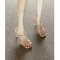 Women's high heels sandals thin heel water crystal one-strap champagne color 2025 European and American summer square head elegant sandals